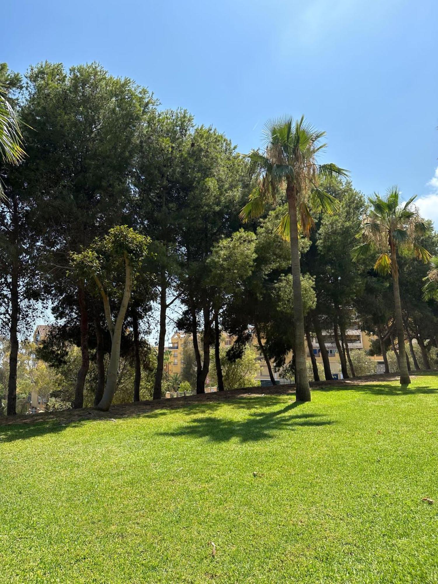 Benalmadena Gamonal Apartment Málaga Exterior foto